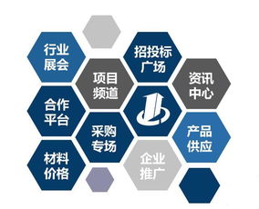 建設(shè)工程行業(yè)招投標(biāo)綜合信息門戶與網(wǎng)絡(luò)技術(shù)咨詢服務(wù)發(fā)展探析